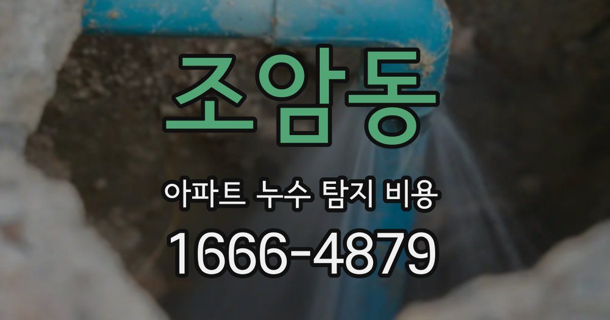 조암동 아파트 누수 탐지 비용