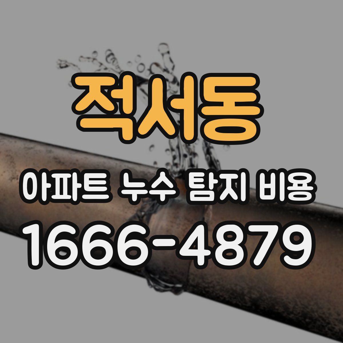 적서동 아파트 누수 탐지 비용
