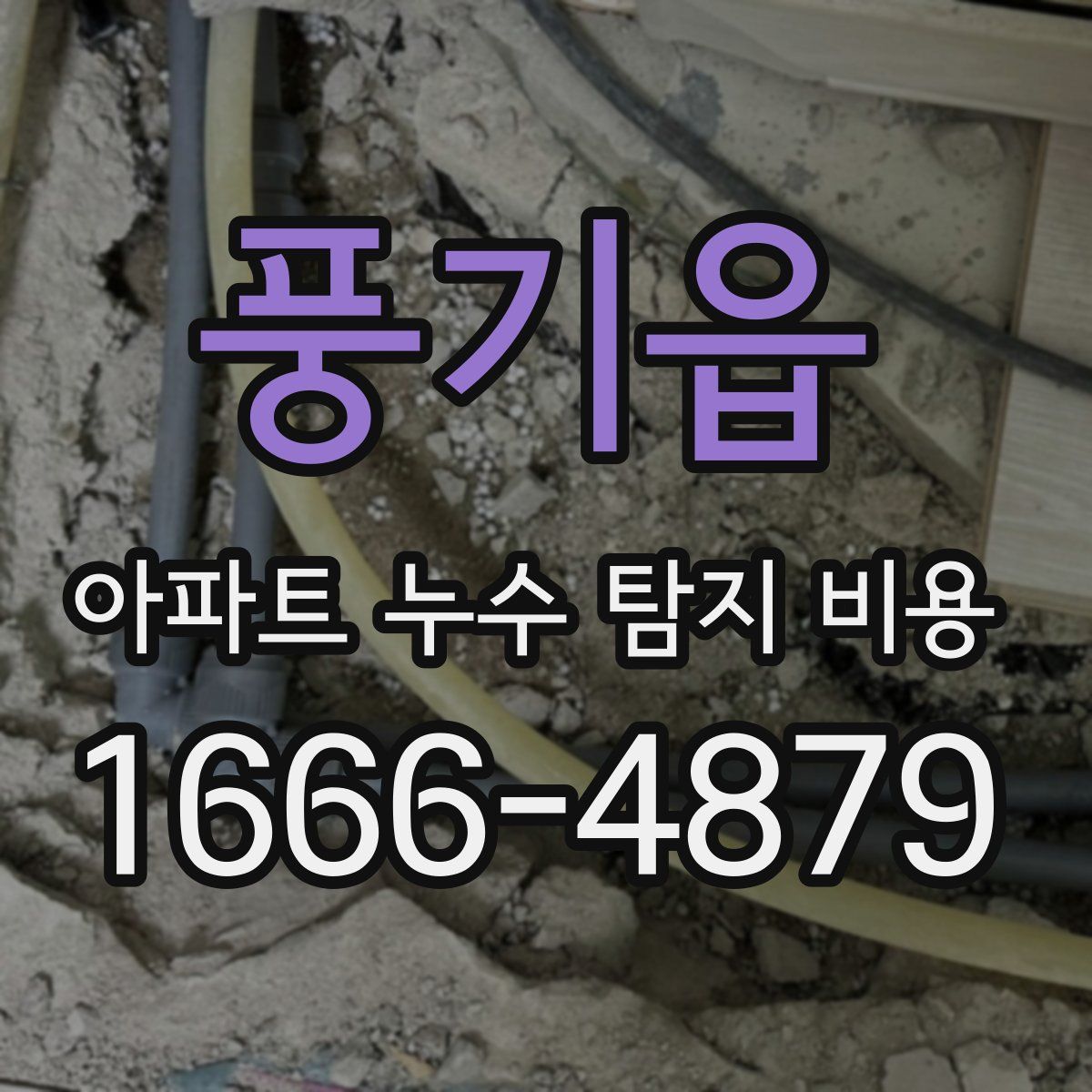 풍기읍 아파트 누수 탐지 비용