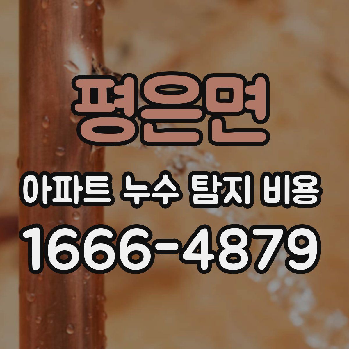 평은면 아파트 누수 탐지 비용