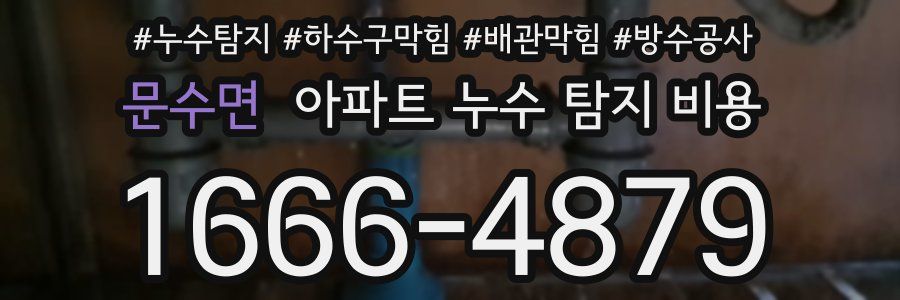 문수면 아파트 누수 탐지 비용