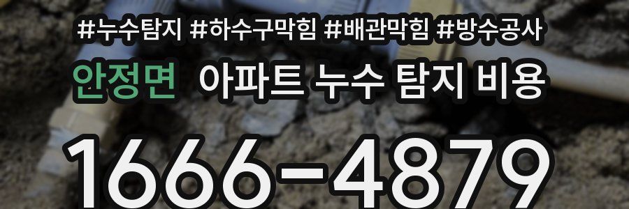 안정면 아파트 누수 탐지 비용