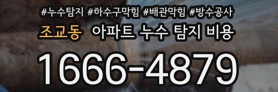 조교동 아파트 누수 탐지 비용