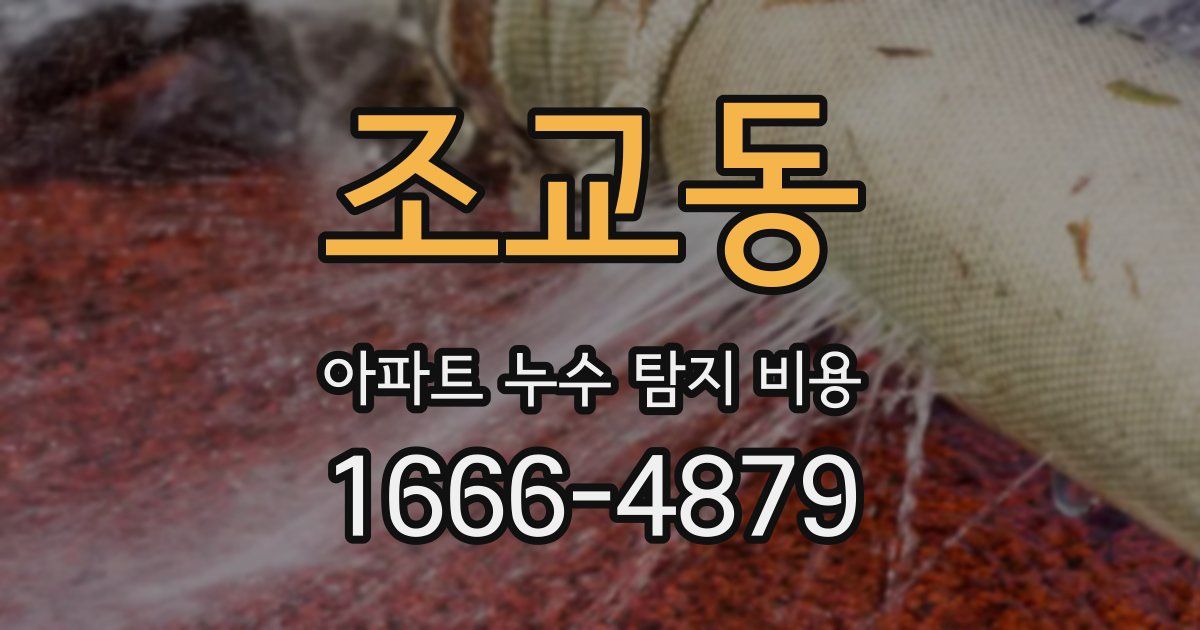 조교동 아파트 누수 탐지 비용