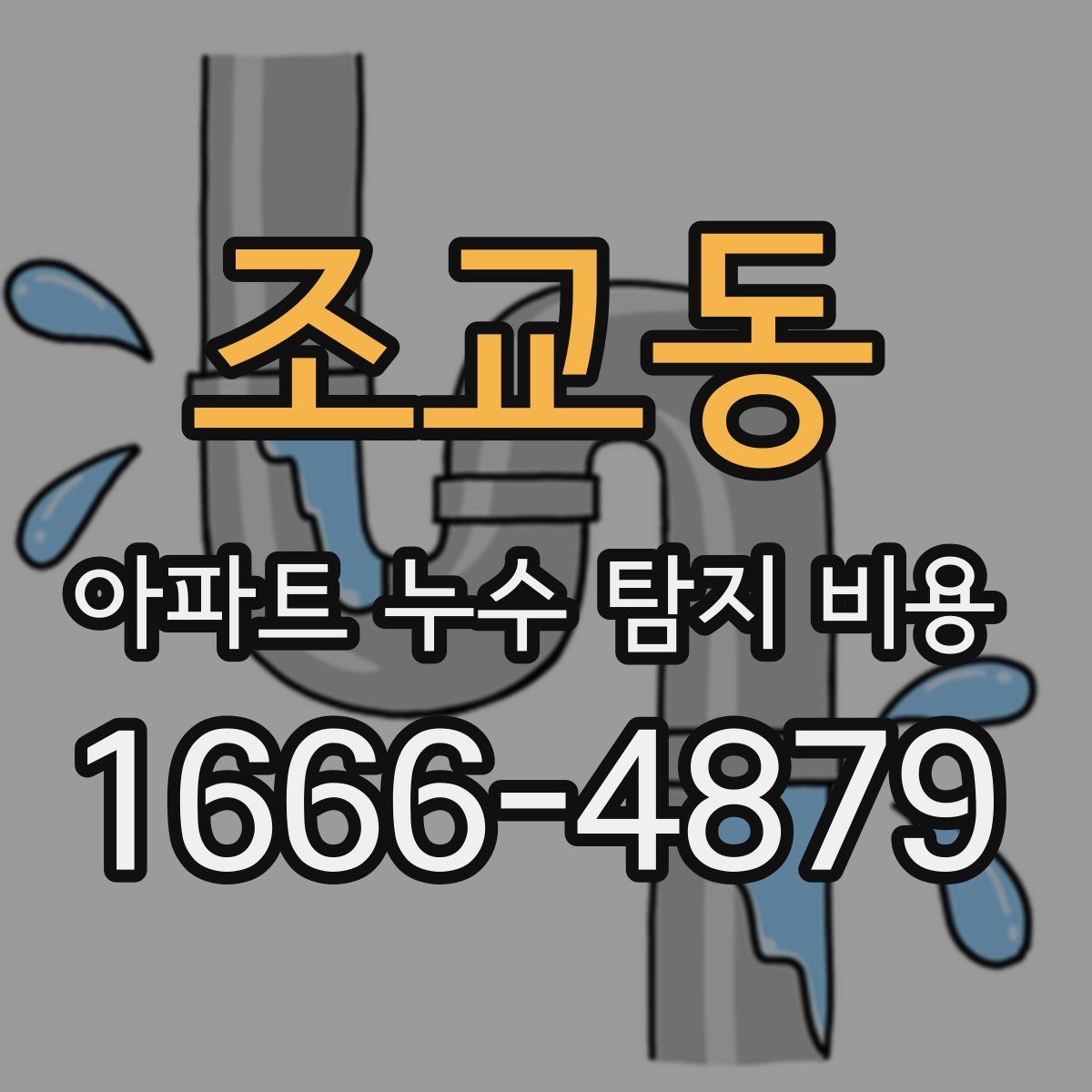 조교동 아파트 누수 탐지 비용