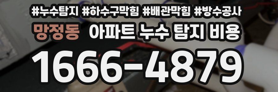 망정동 아파트 누수 탐지 비용