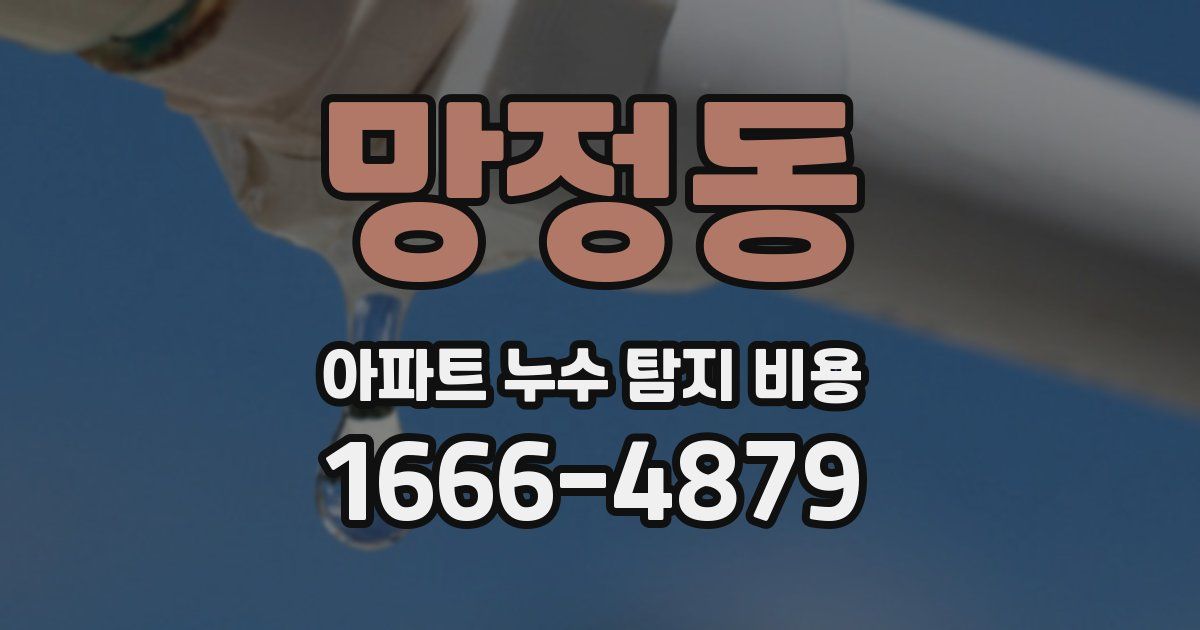 망정동 아파트 누수 탐지 비용