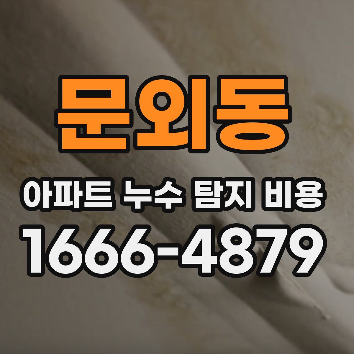 문외동 아파트 누수 탐지 비용