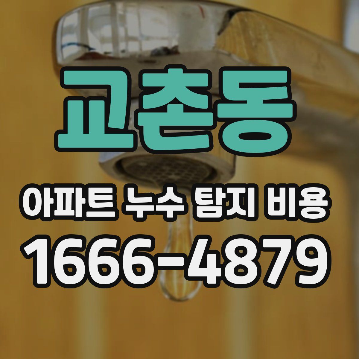 교촌동 아파트 누수 탐지 비용