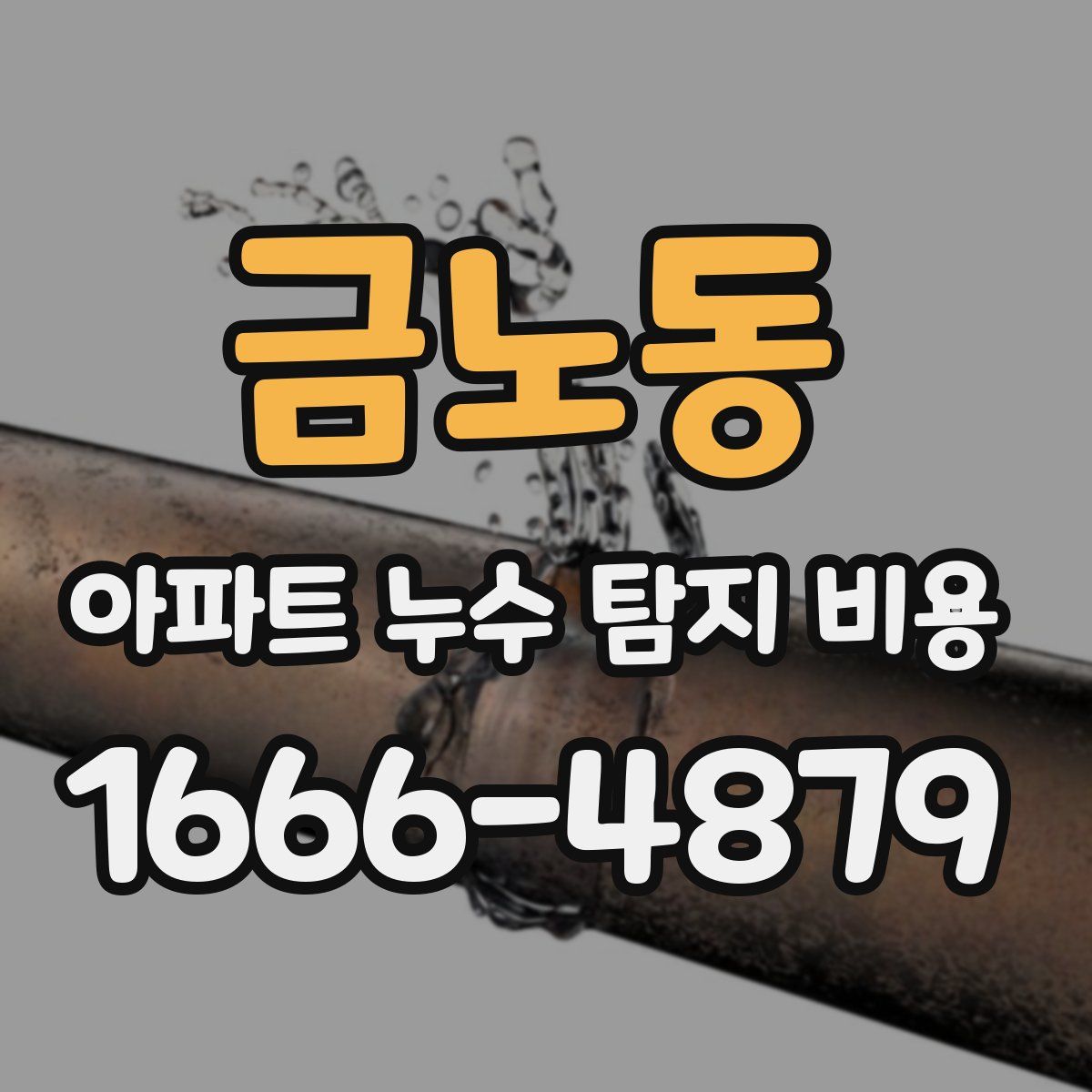 금노동 아파트 누수 탐지 비용