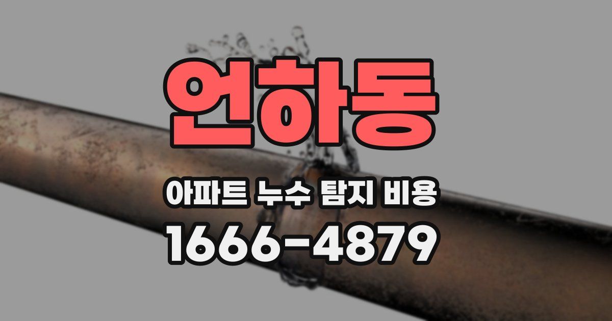 언하동 아파트 누수 탐지 비용