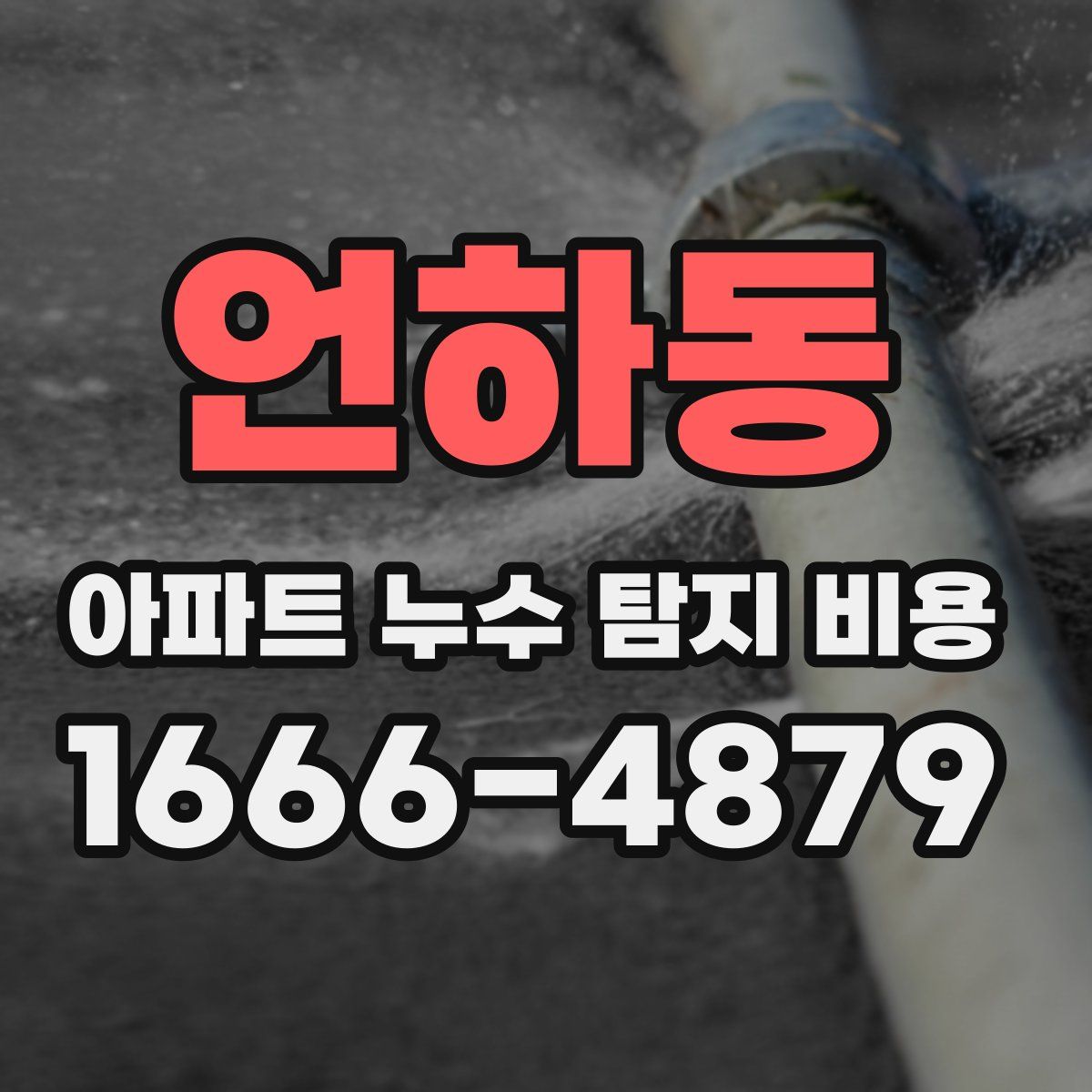 언하동 아파트 누수 탐지 비용