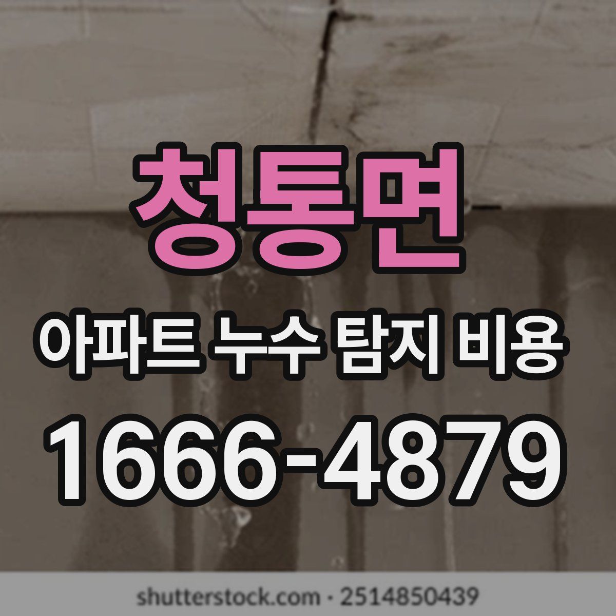청통면 아파트 누수 탐지 비용