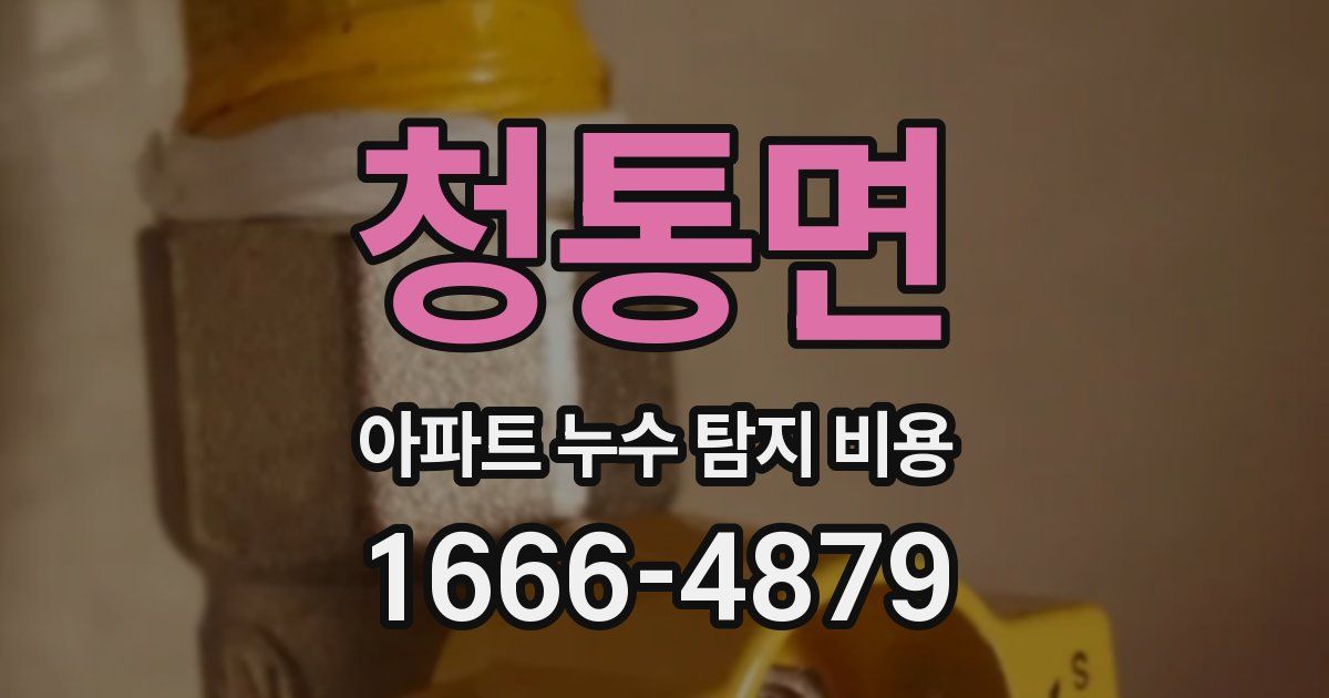 청통면 아파트 누수 탐지 비용