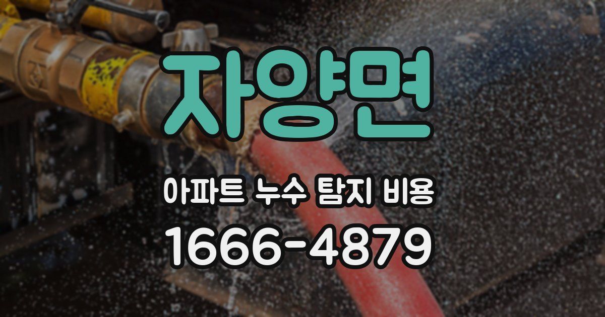 자양면 아파트 누수 탐지 비용