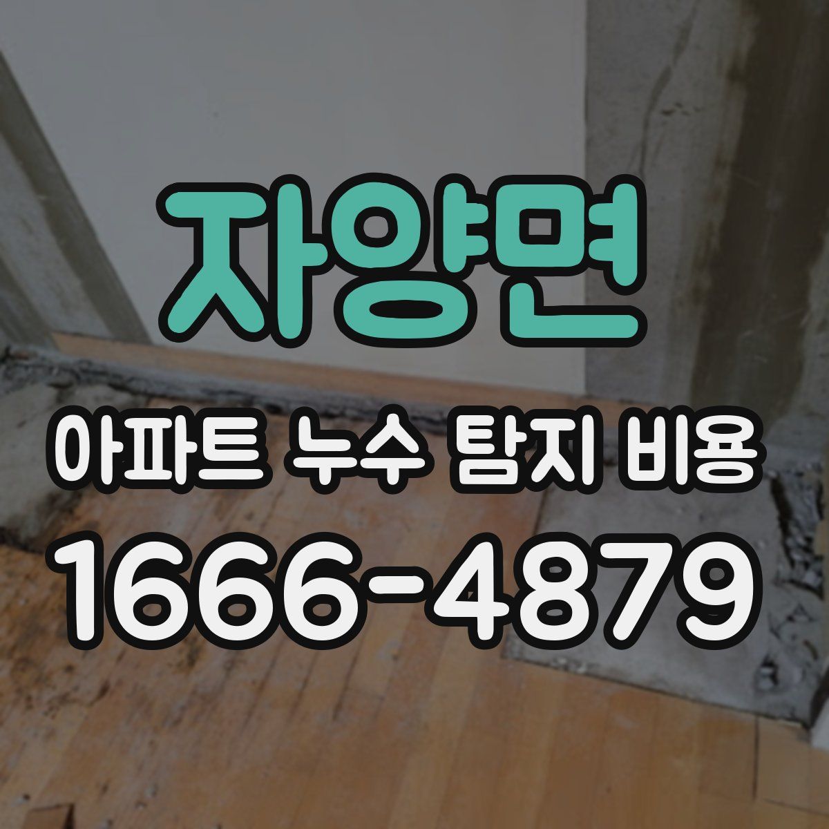 자양면 아파트 누수 탐지 비용
