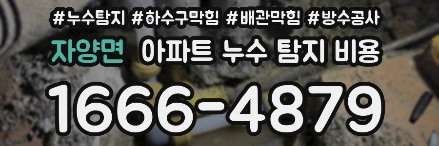 자양면 아파트 누수 탐지 비용