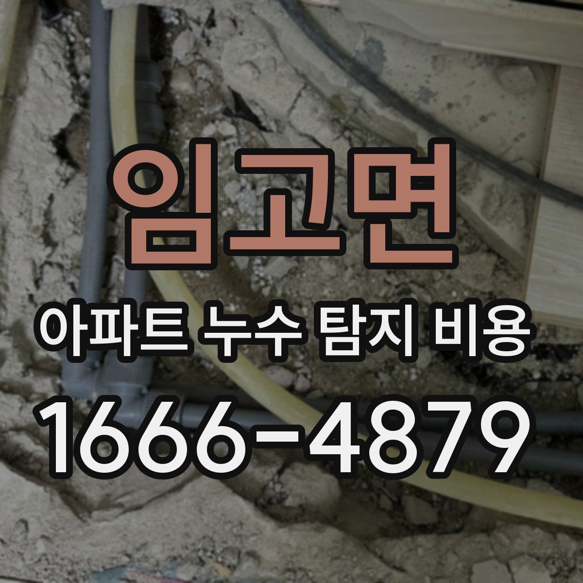 임고면 아파트 누수 탐지 비용