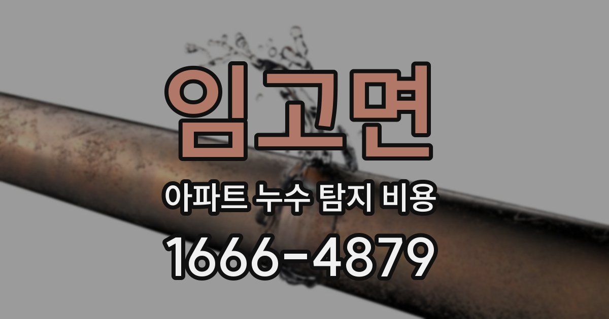 임고면 아파트 누수 탐지 비용