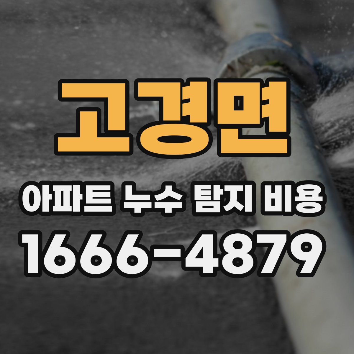 고경면 아파트 누수 탐지 비용