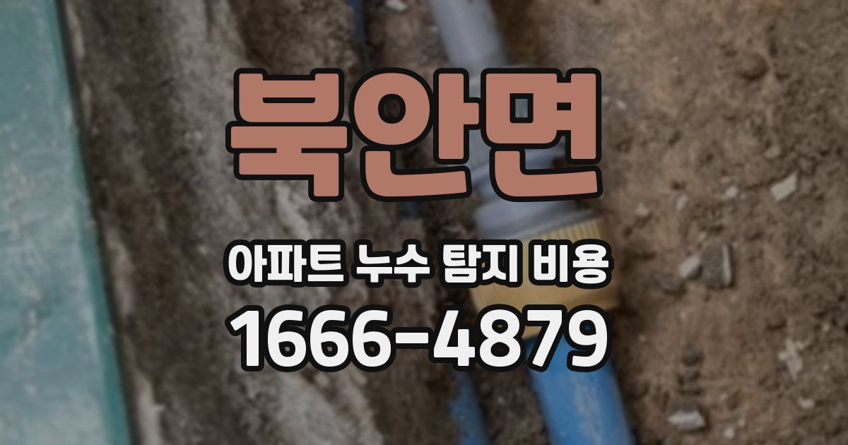 북안면 아파트 누수 탐지 비용