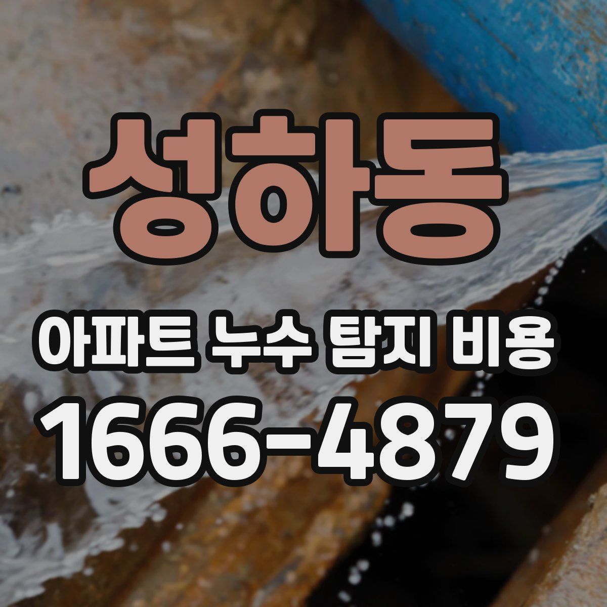 성하동 아파트 누수 탐지 비용