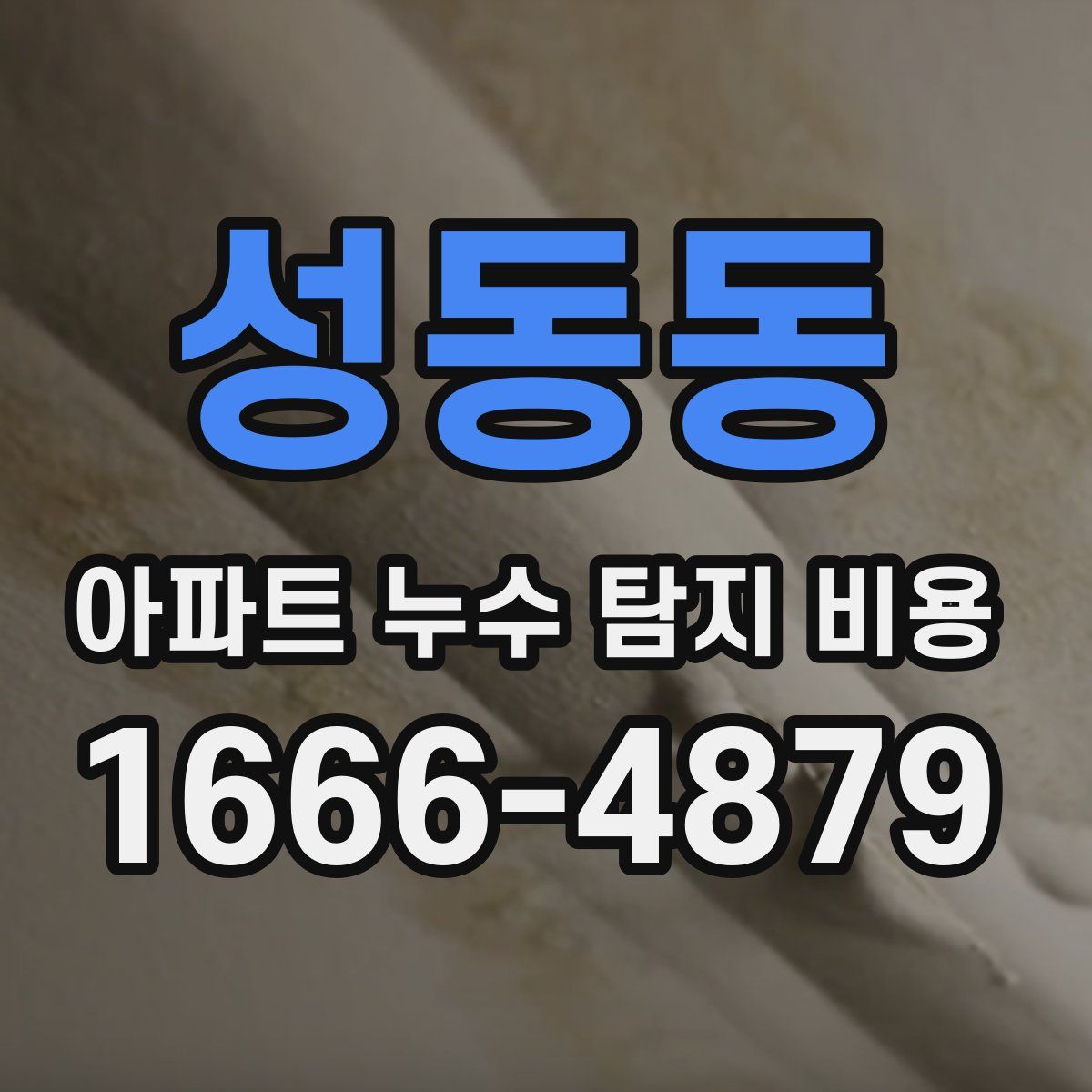 성동동 아파트 누수 탐지 비용