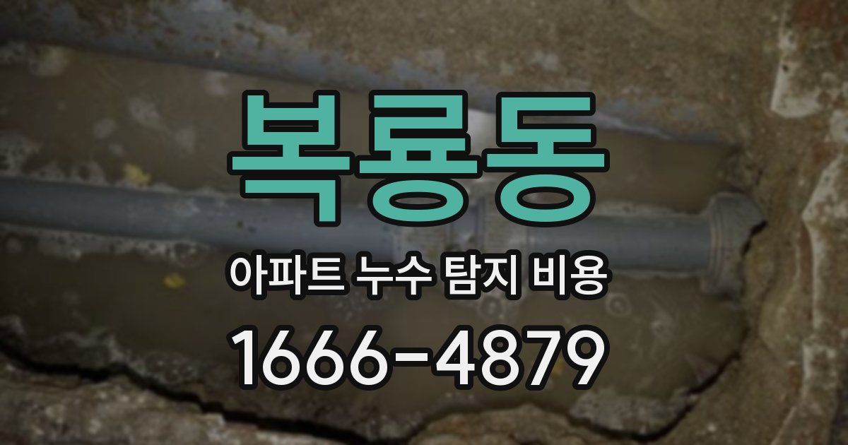 복룡동 아파트 누수 탐지 비용