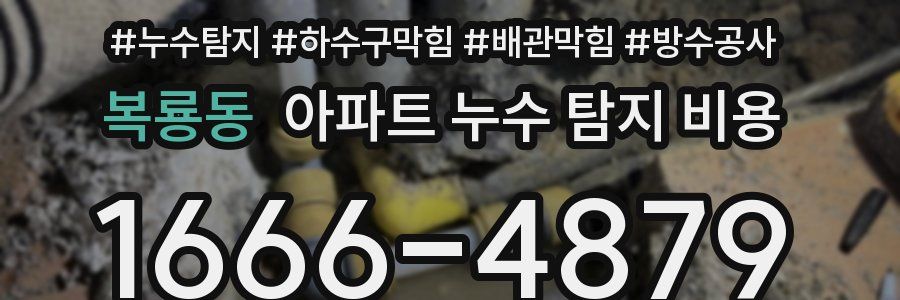 복룡동 아파트 누수 탐지 비용