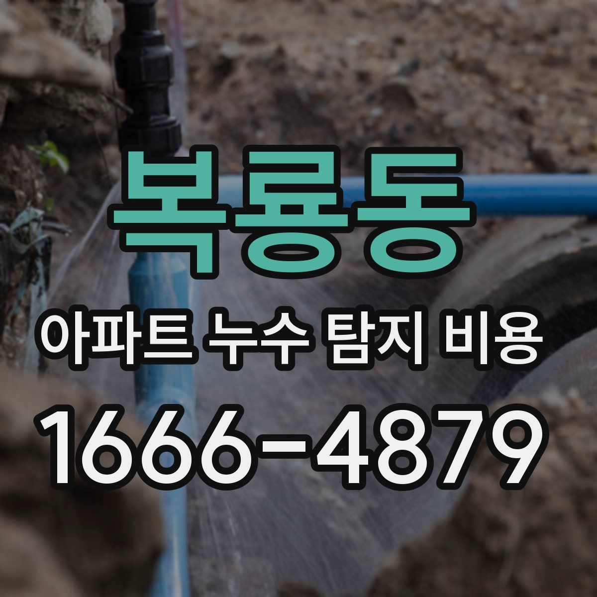 복룡동 아파트 누수 탐지 비용