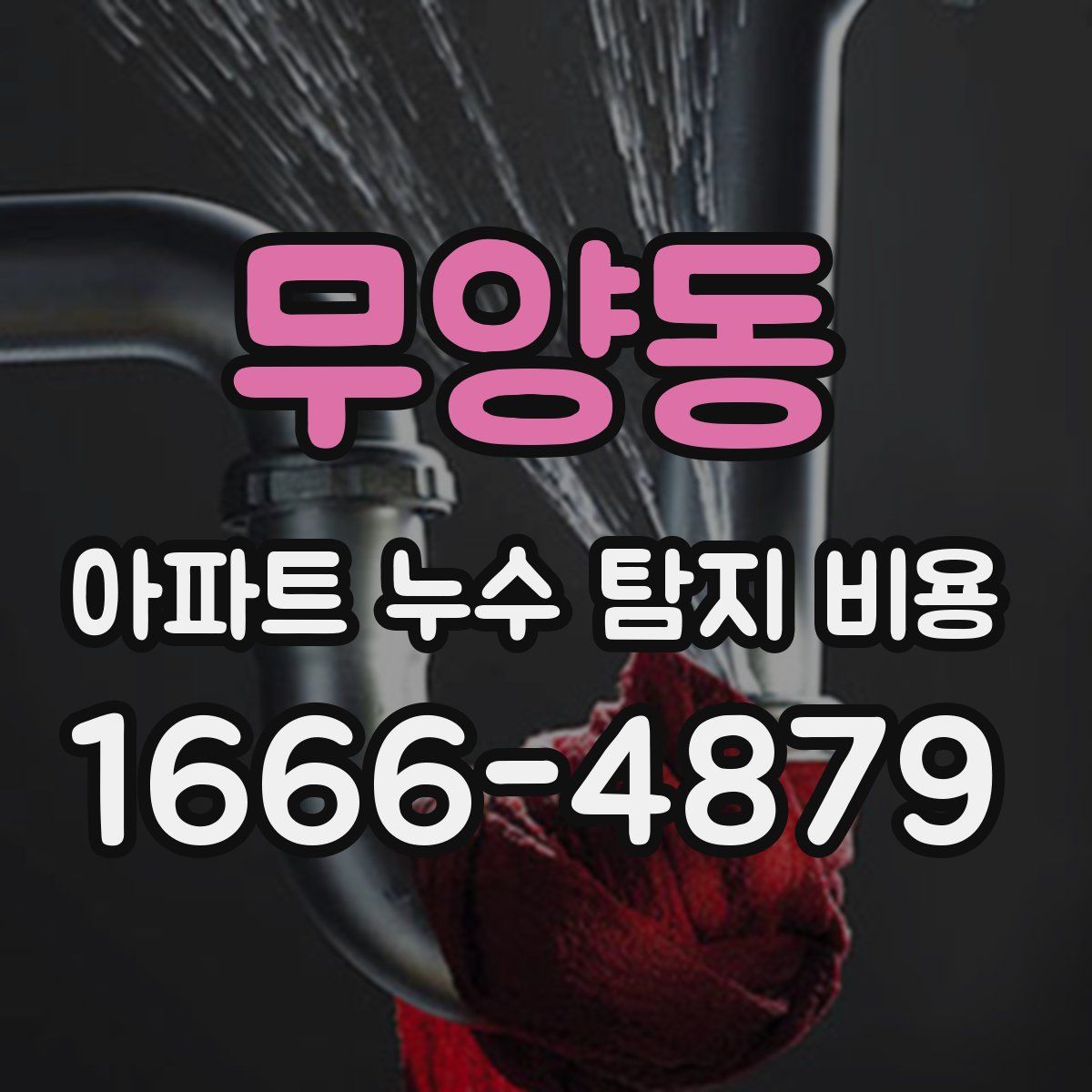 무양동 아파트 누수 탐지 비용