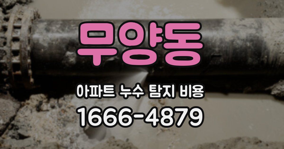 무양동 아파트 누수 탐지 비용