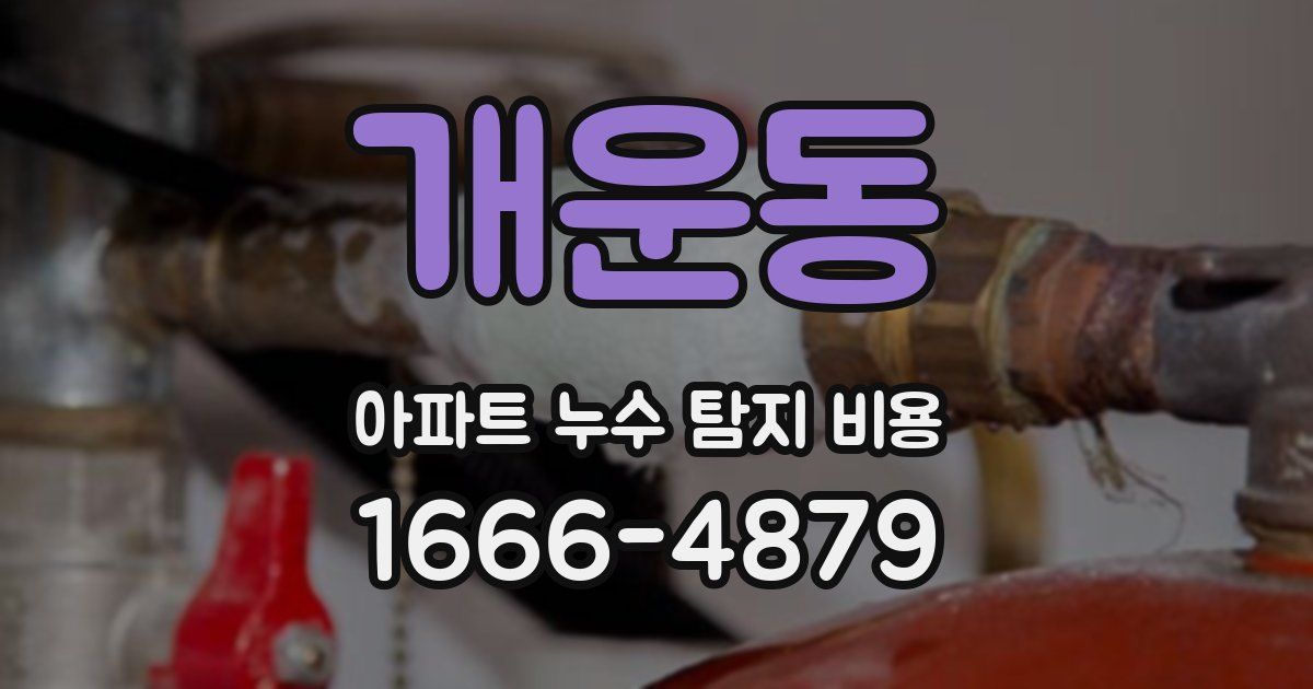 개운동 아파트 누수 탐지 비용