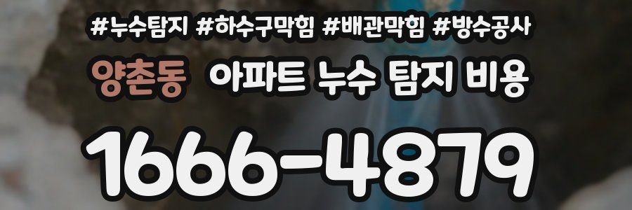 양촌동 아파트 누수 탐지 비용