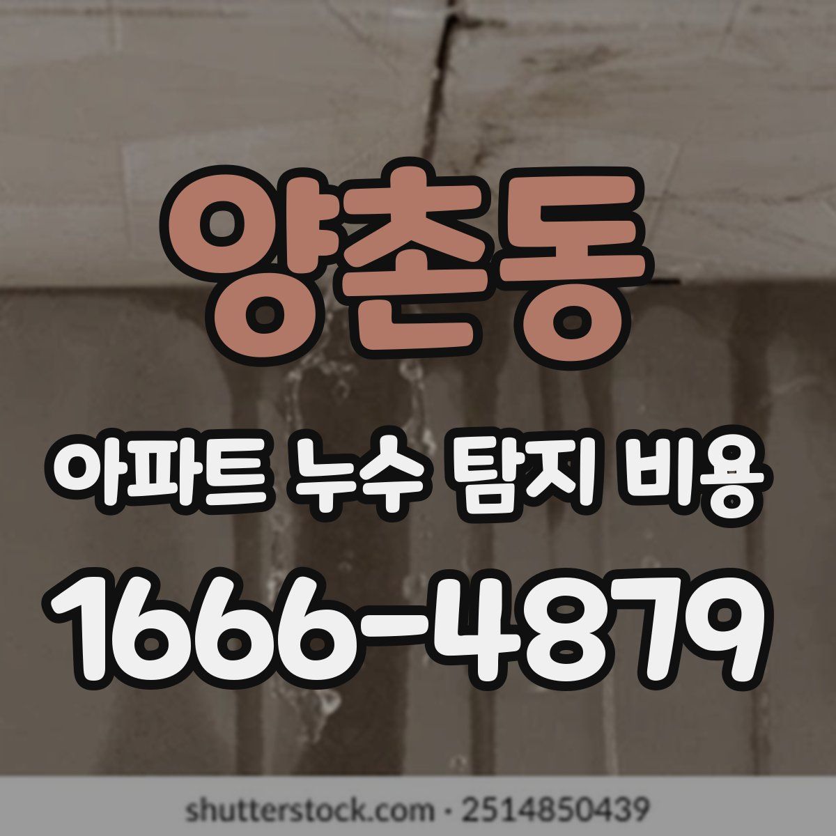 양촌동 아파트 누수 탐지 비용