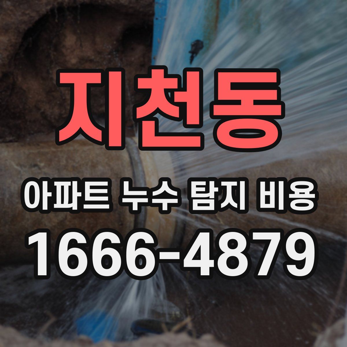 지천동 아파트 누수 탐지 비용