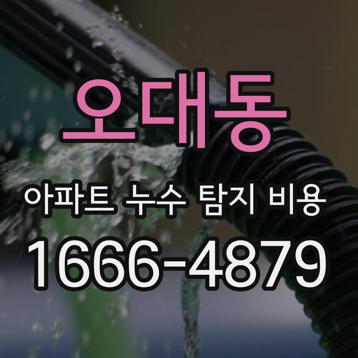 오대동 아파트 누수 탐지 비용