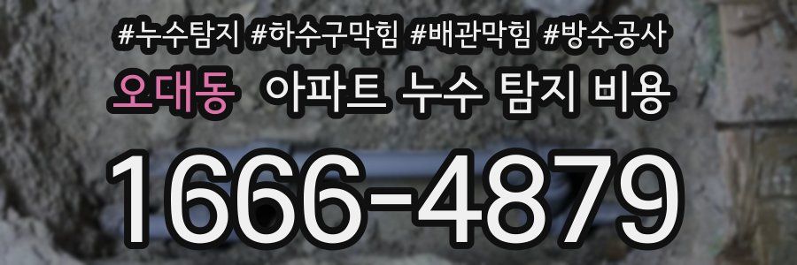 오대동 아파트 누수 탐지 비용