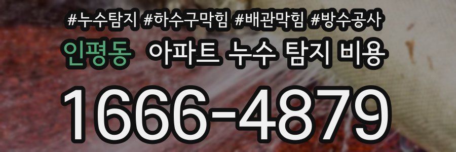 인평동 아파트 누수 탐지 비용