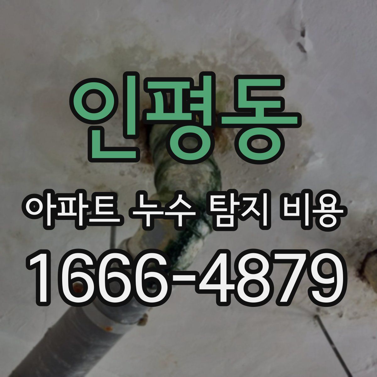 인평동 아파트 누수 탐지 비용
