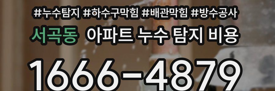 서곡동 아파트 누수 탐지 비용