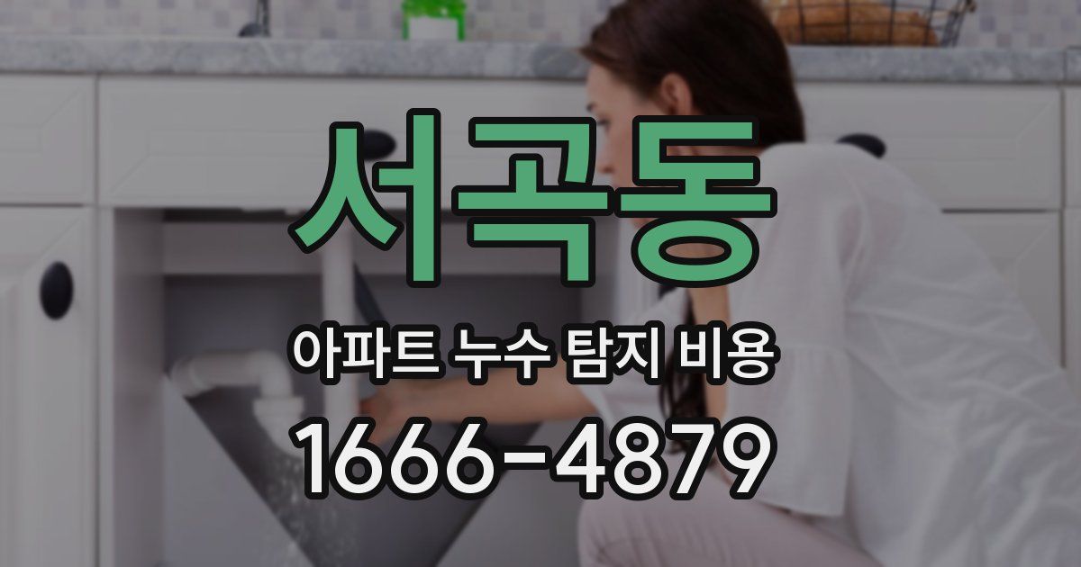 서곡동 아파트 누수 탐지 비용