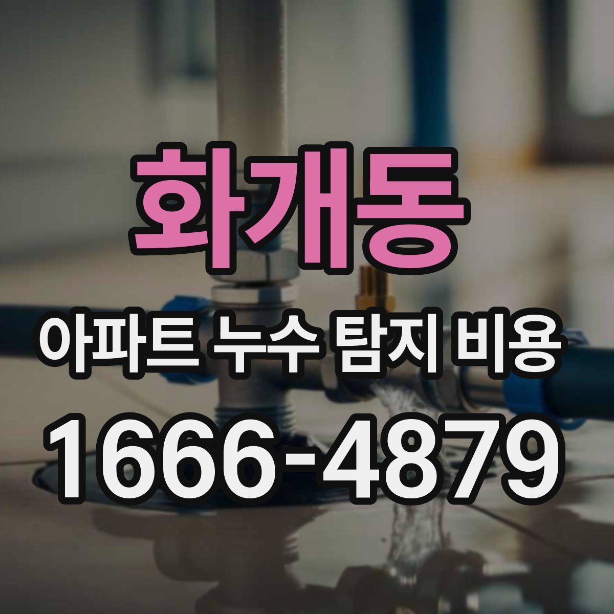 화개동 아파트 누수 탐지 비용