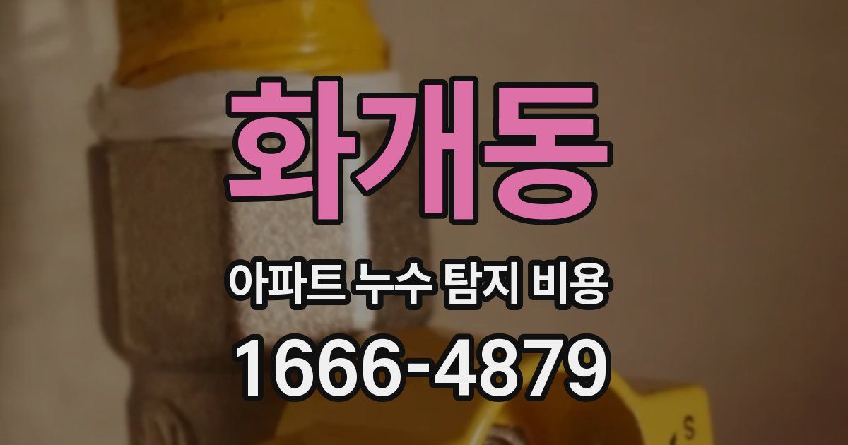 화개동 아파트 누수 탐지 비용