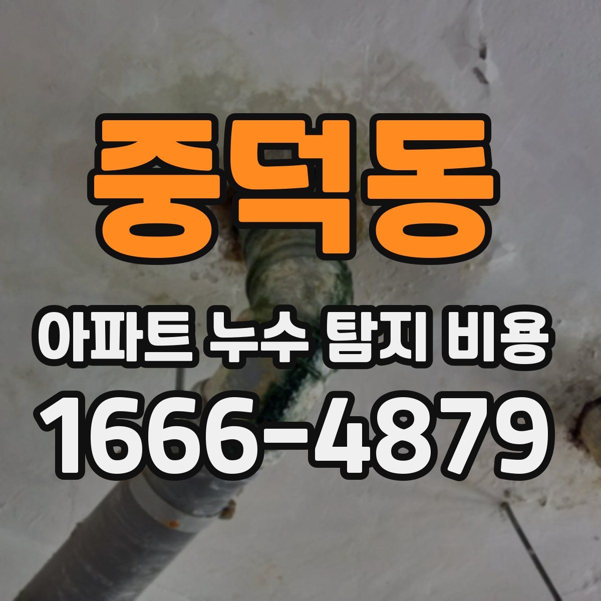 중덕동 아파트 누수 탐지 비용