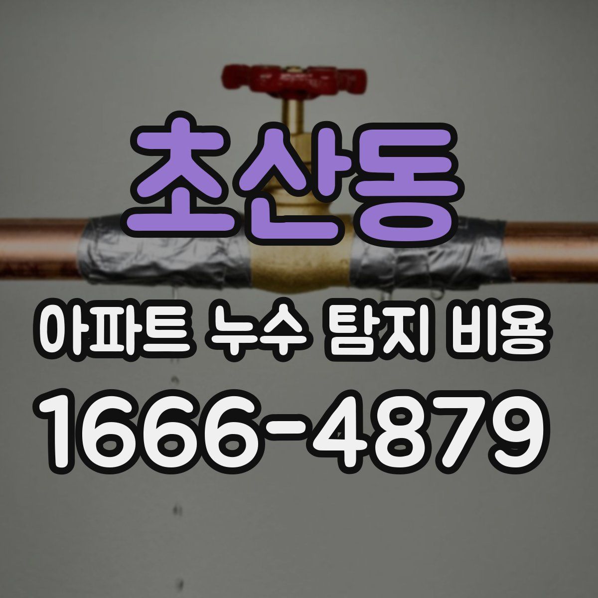 초산동 아파트 누수 탐지 비용