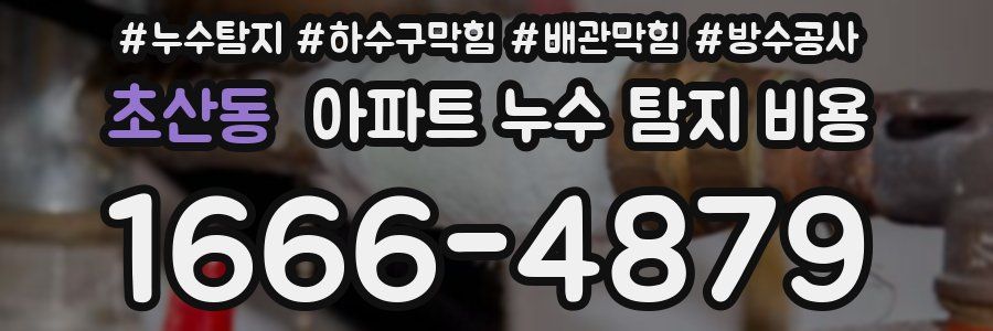 초산동 아파트 누수 탐지 비용