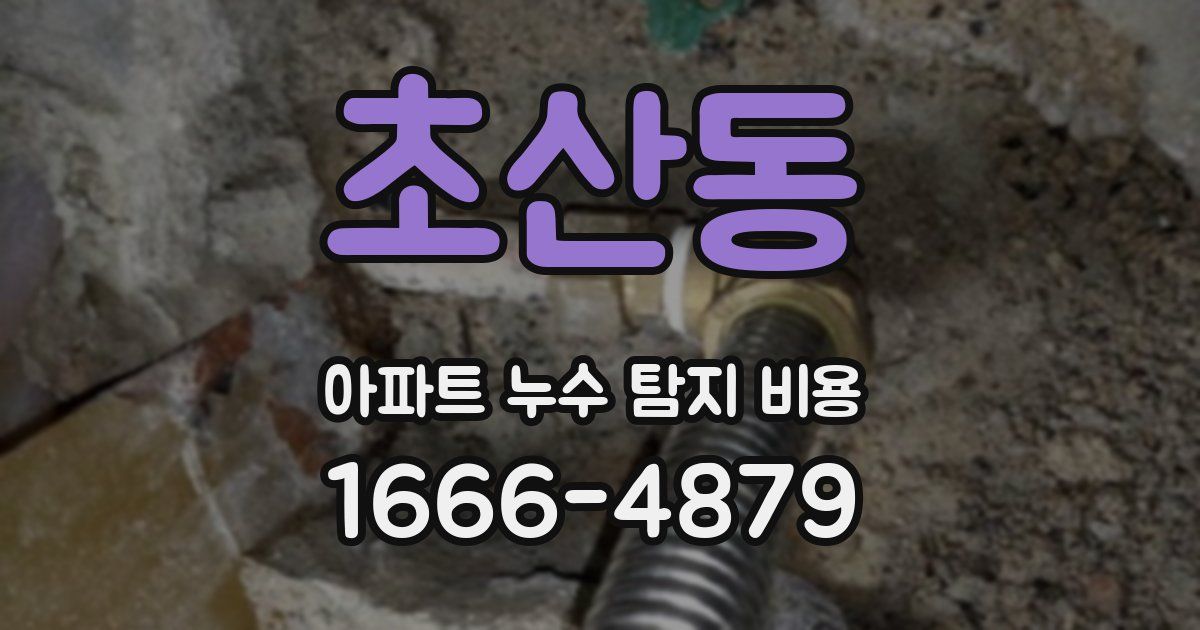 초산동 아파트 누수 탐지 비용