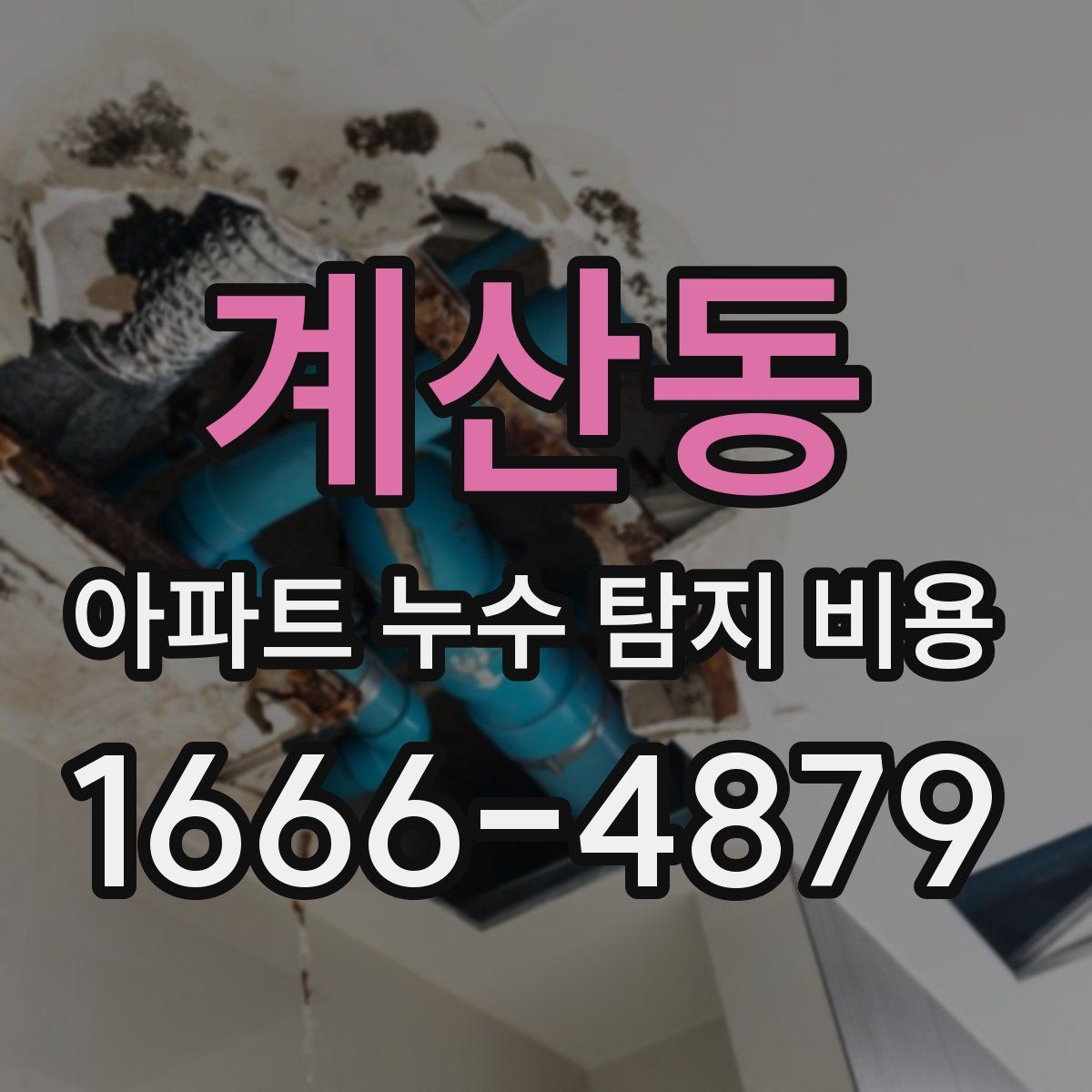 계산동 아파트 누수 탐지 비용
