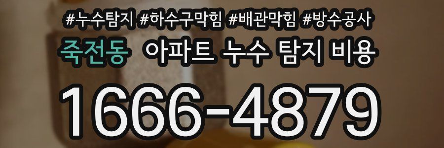 죽전동 아파트 누수 탐지 비용